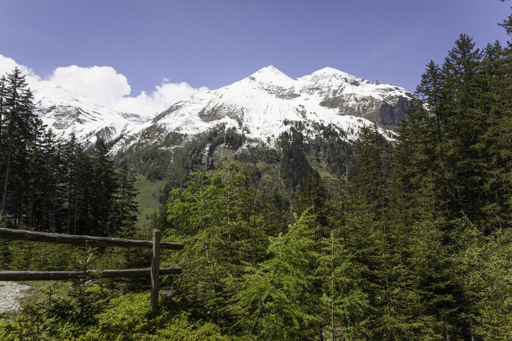 Gasthof Andrelwirt Рауріс Екстер'єр фото